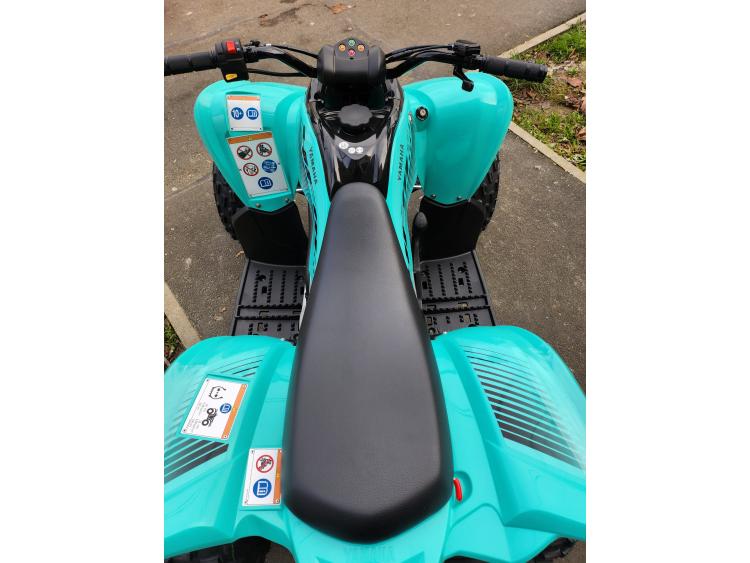 YAMAHA YFM 110 RAPTOR BLEU OU TURQUOISE