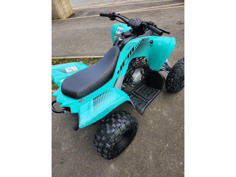 YAMAHA YFM 110 RAPTOR BLEU OU TURQUOISE