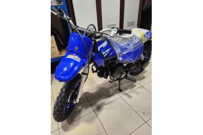 YAMAHA PW50